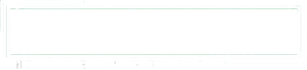 Blindo System